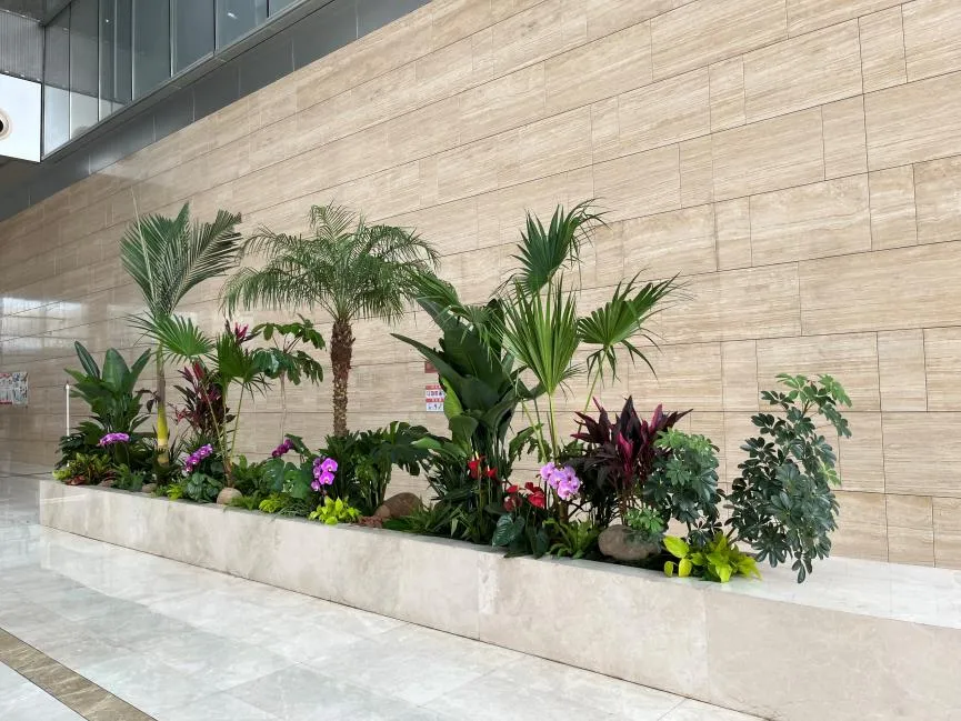 领略宁波江北盆景租摆魅力，开启别样绿植体验